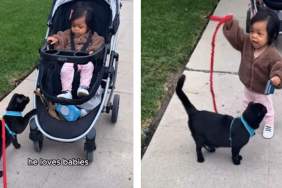 Cat Turns Toddler Into an Official 'Future Cat Lady'