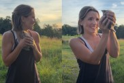 stray kitten video