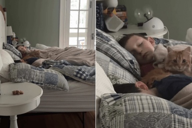 cat sleep babies video