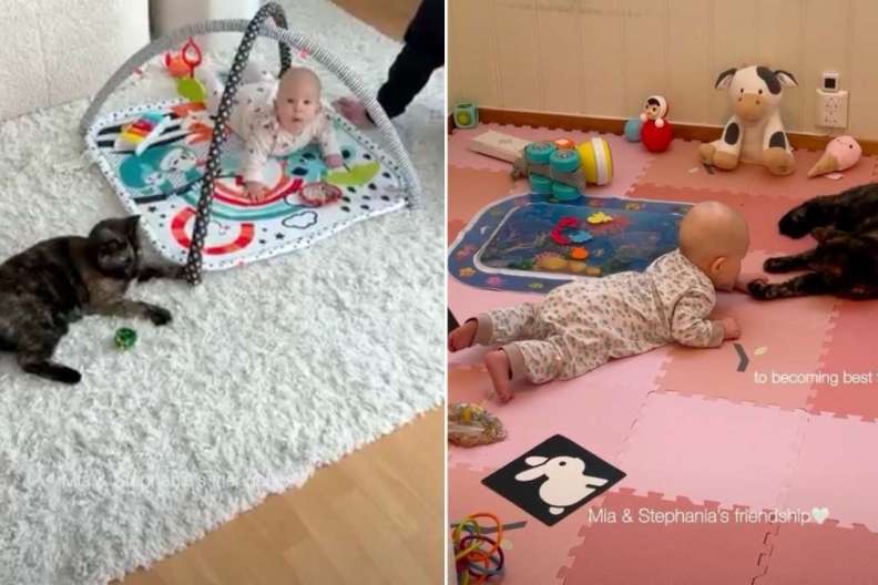 Cat's First Meeting With Baby Evolves Into a Bond Neither Expected