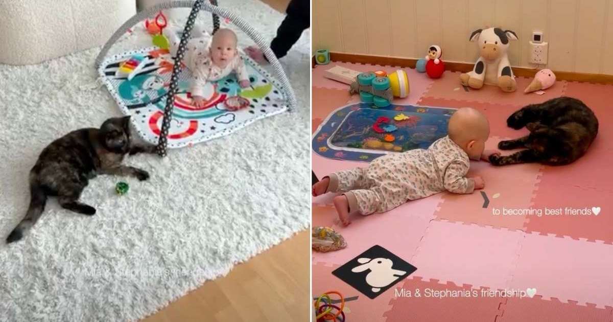 PetWireDaily — Cat’s First Meeting With Baby Evolves Into a Bond Neither Expected