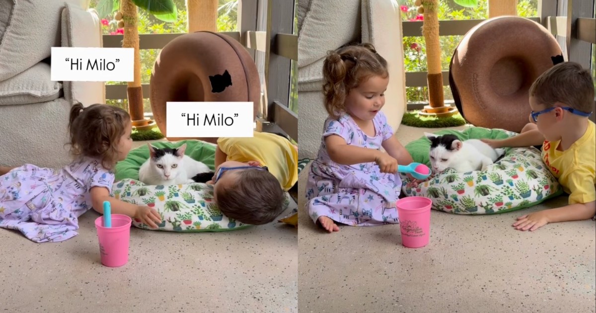 PetWireDaily — Cat Gets the Cutest Nickname From Two Toddlers During Playtime