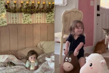 Rescue Cat’s Bond With Toddler Has Always Looked Like This & They Wouldn’t Change a Thing