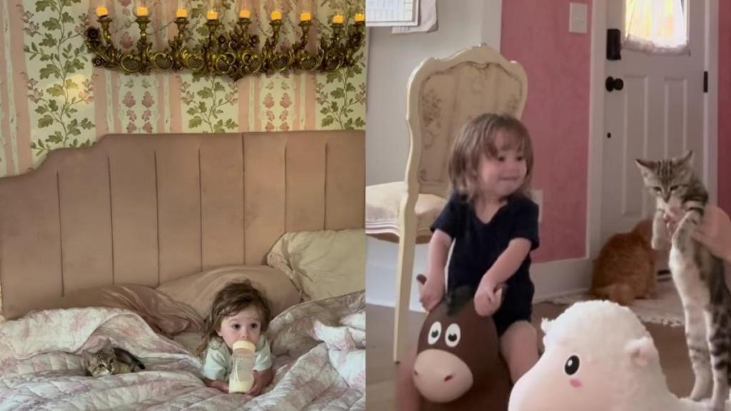 Rescue Cat’s Bond With Toddler Has Always Looked Like This & They Wouldn’t Change a Thing