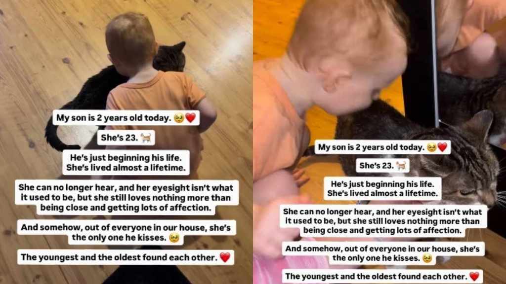 Senior Cat Can Barely Hear Anymore — but She Always Has Time for Her Toddler Bestie