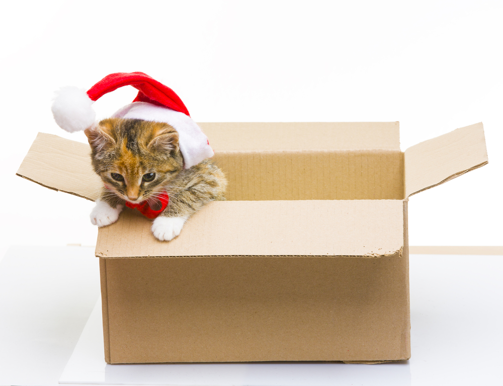 Hope Santa Brings More Boxes