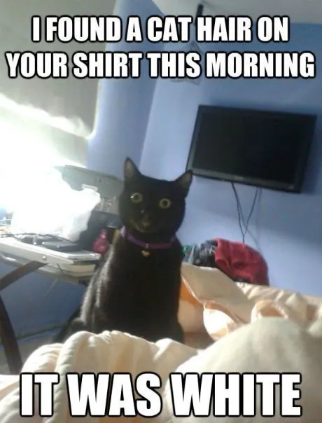 Funny Cat Memes Grab Bag Edition #27