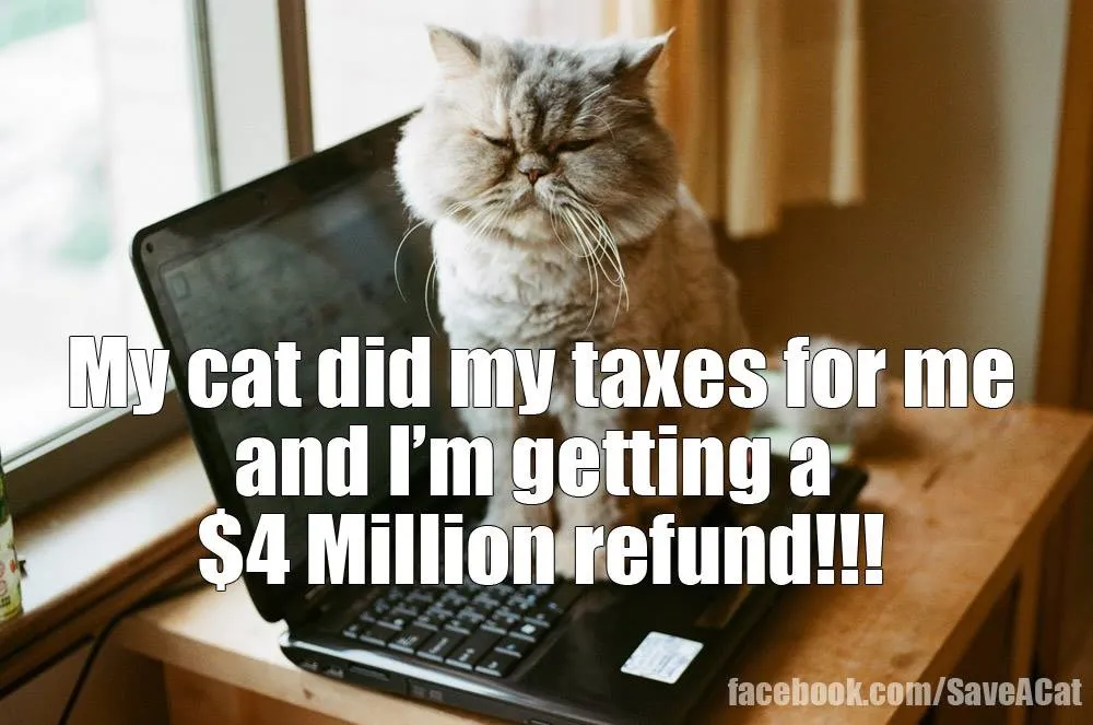 My Cat Did My Taxes