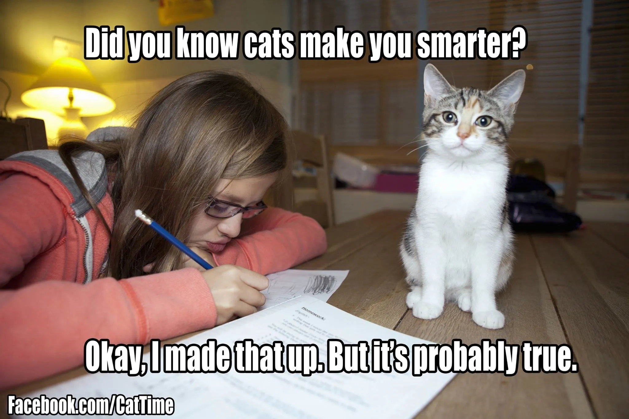 Cats Make You Smarter