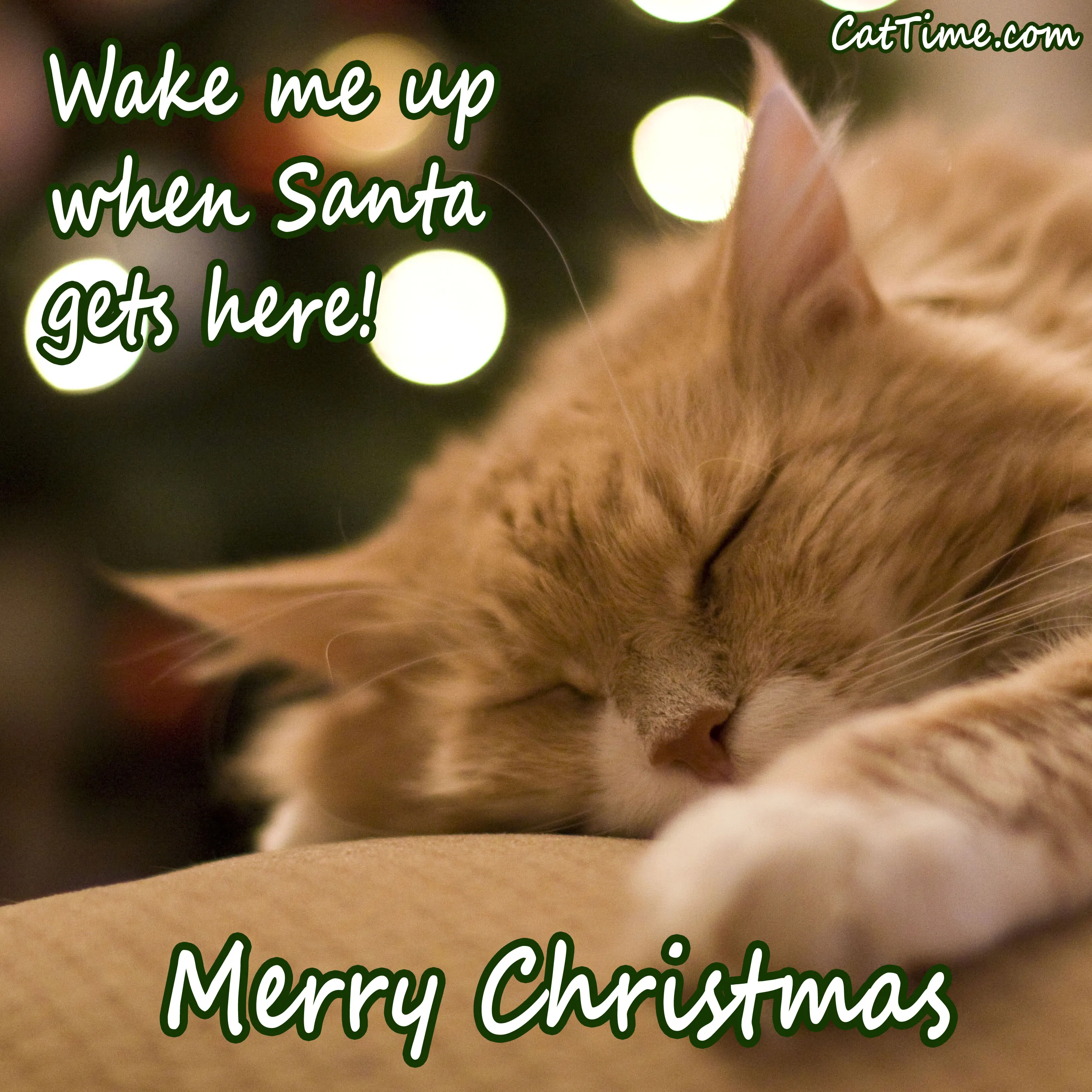 Wake Me Up When Santa Gets Here