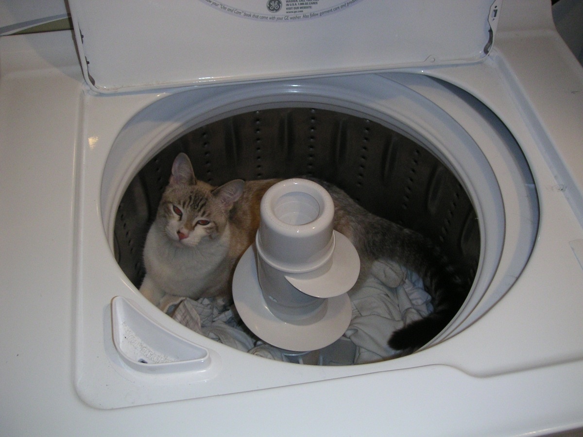 I'm doing laundry. Come back later.