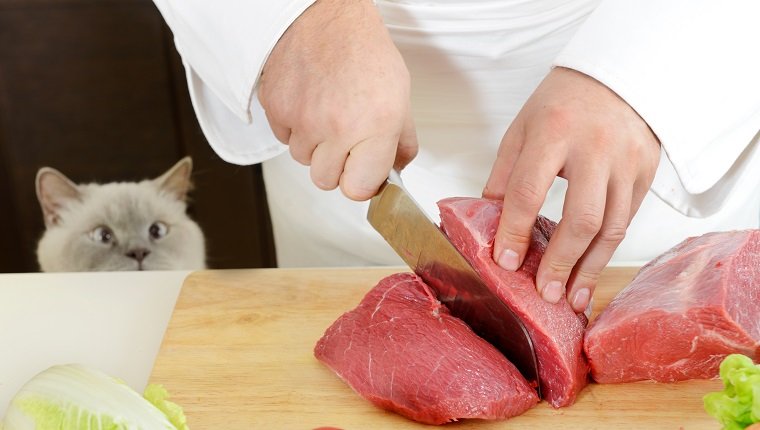 Animal-Based Protein