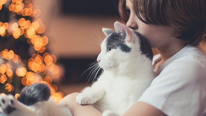 Cats Get To Spend More Time With You