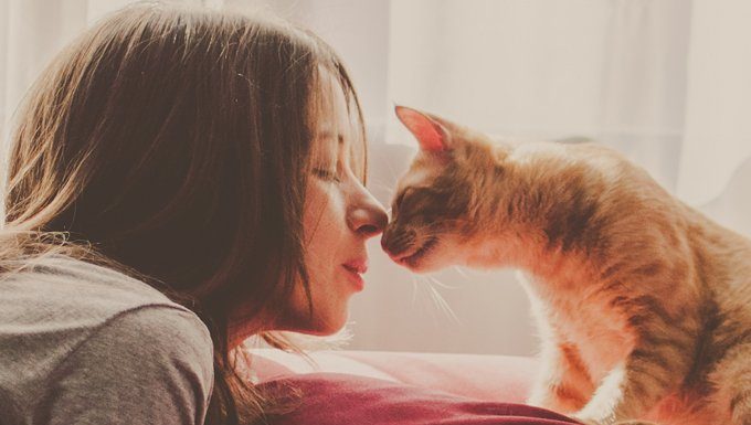 Your Cats Purr And 'Head Bump' The Pet Sitter