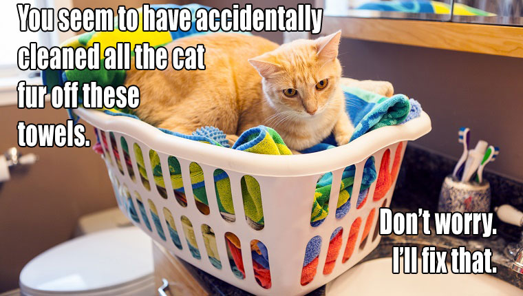 Chores Can Always Get More Difficult