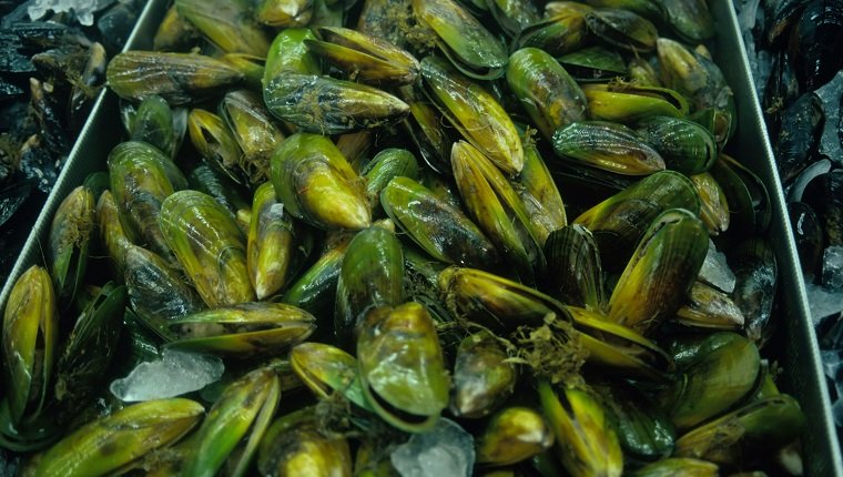 Green Lipped Mussel Extract (GLME)
