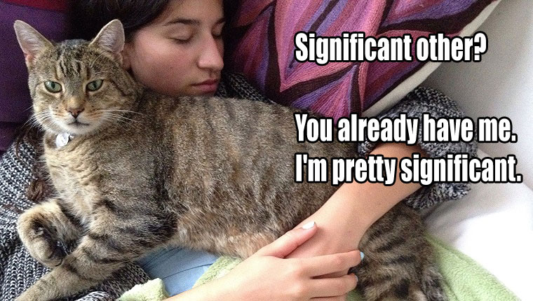 Things Your Cat Has Been Meaning To Tell You #6