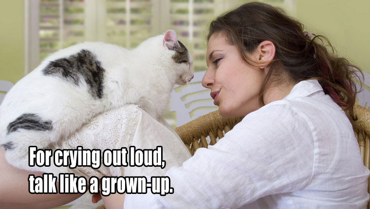 Things Your Cat Has Been Meaning To Tell You #8