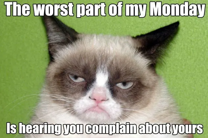 20+ Annoyed Cat Memes For All The Grumpy Cats At Work Today - I