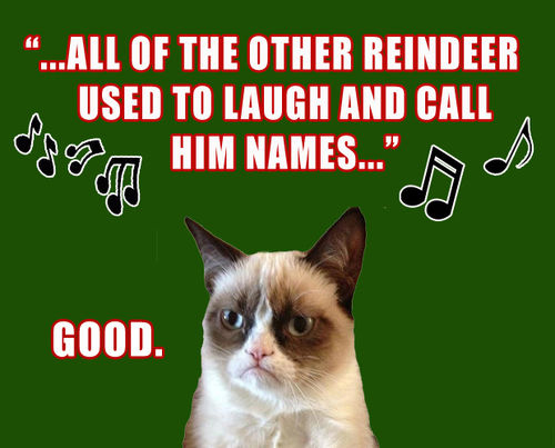 Fun Friday – Angry Cat Memes!