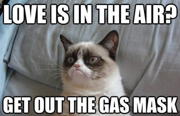 35 of the Funniest Grumpy Cat Memes Ever Created