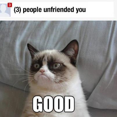 Top 25 Grumpy Cat Memes - CatTime