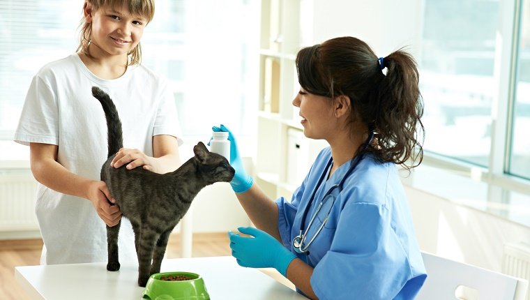 Ask A Veterinarian About Medication