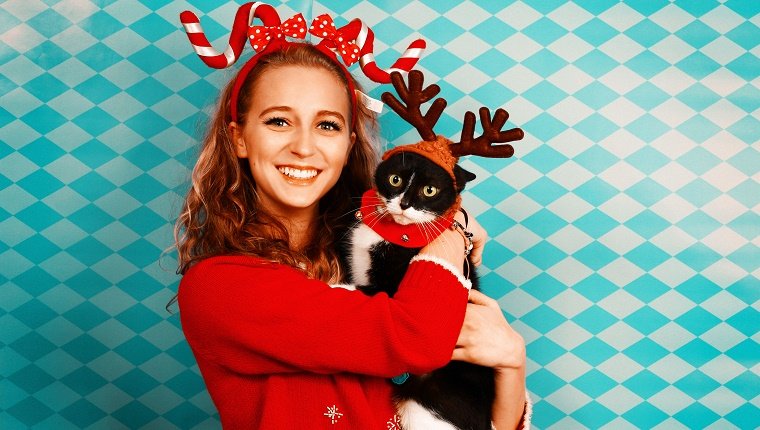 Forcing The Spirit Of Christmas On Your Cat