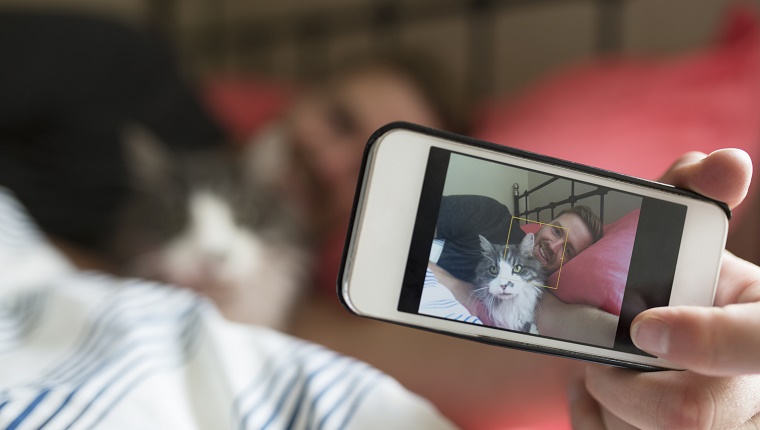 Your Social Media Belongs To Your Cat